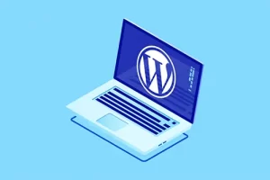 Are wordpress websites good